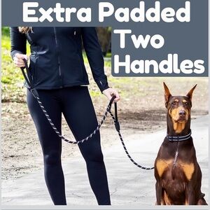 Extra Padded Two Handles Dog Leash